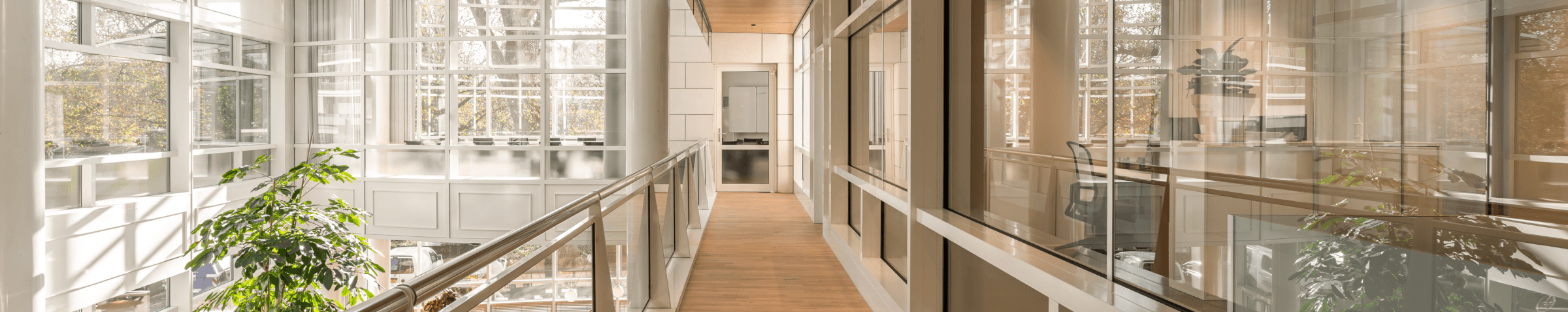 Light wooden corridor with glass walls and view HVK Stevens