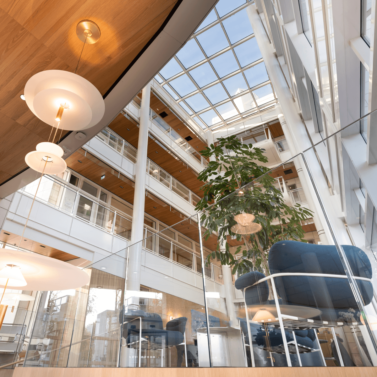 Glazen atrium met grote plant en blauwe stoelen HVK Stevens