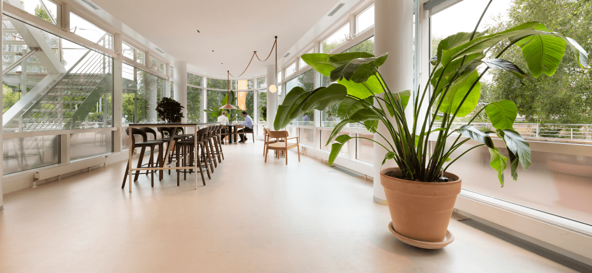 Lichte kantine met grote raampartijen HVK Stevens