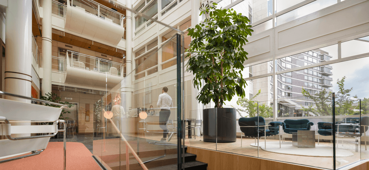 Glass staircase with large plant and people in office space