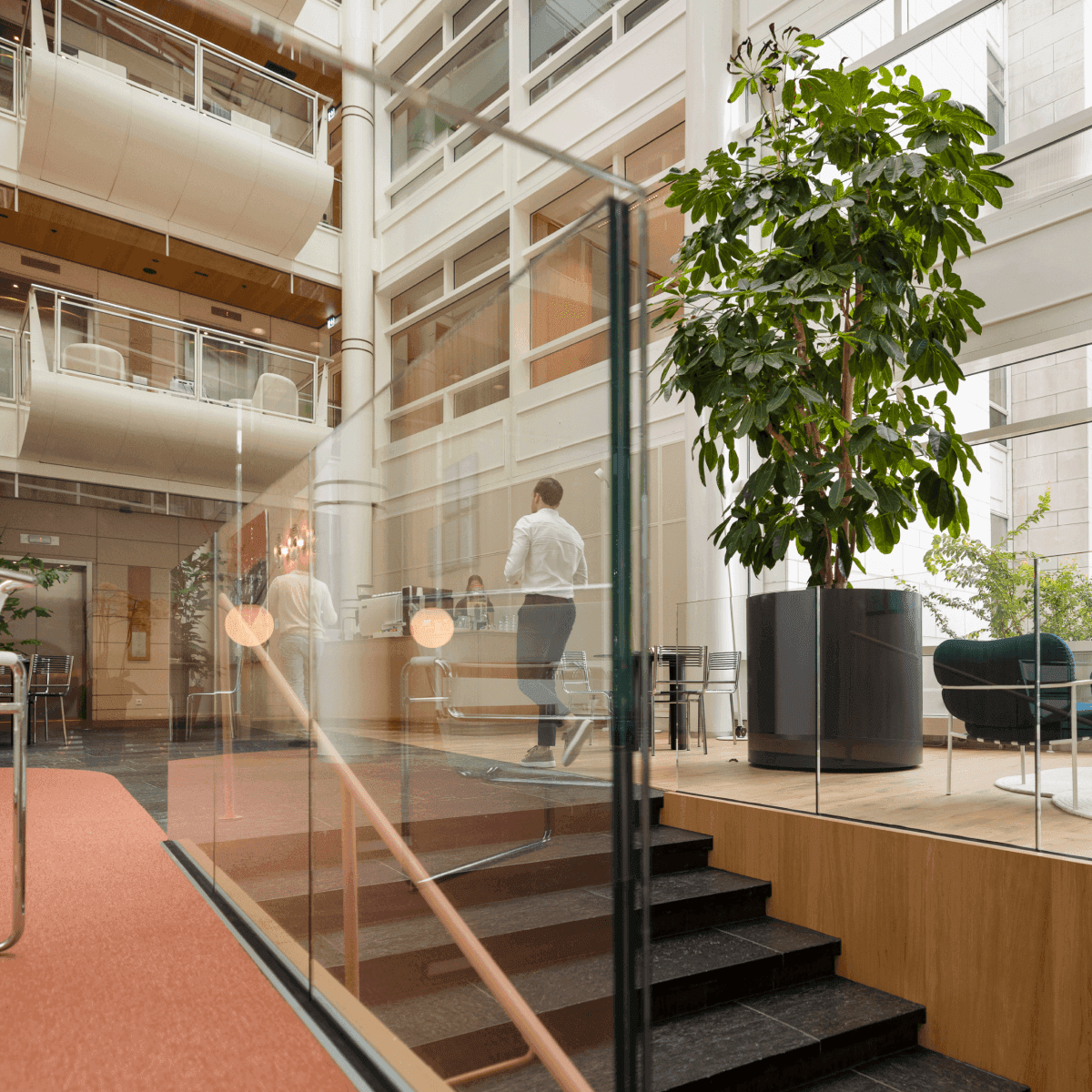 Glazen trap met grote plant en mensen in kantoorruimte